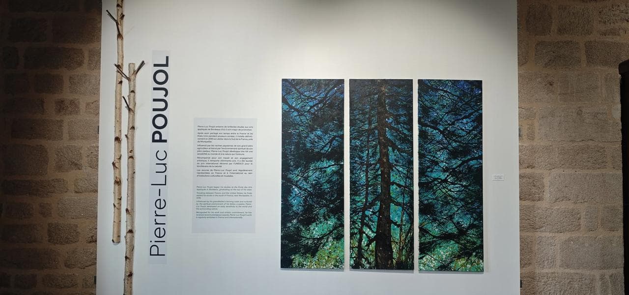 sedieres_expo