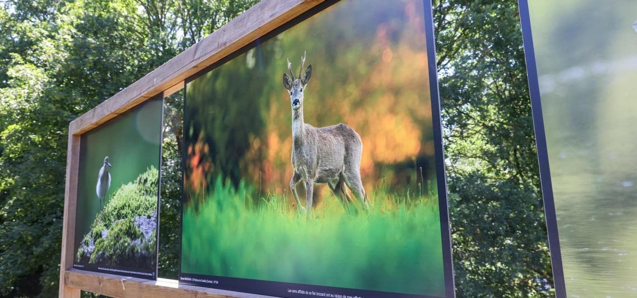 sedieres_expo4