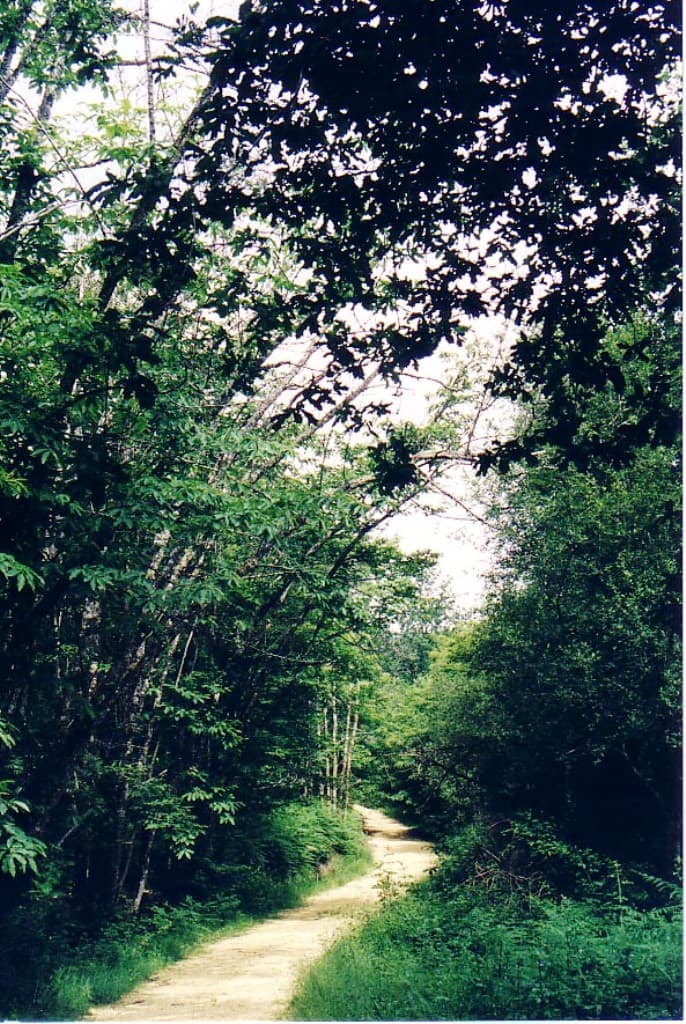 sentier-baille21