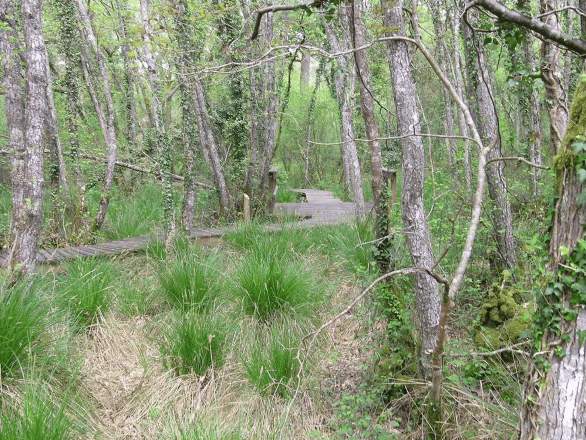 sentier botanique