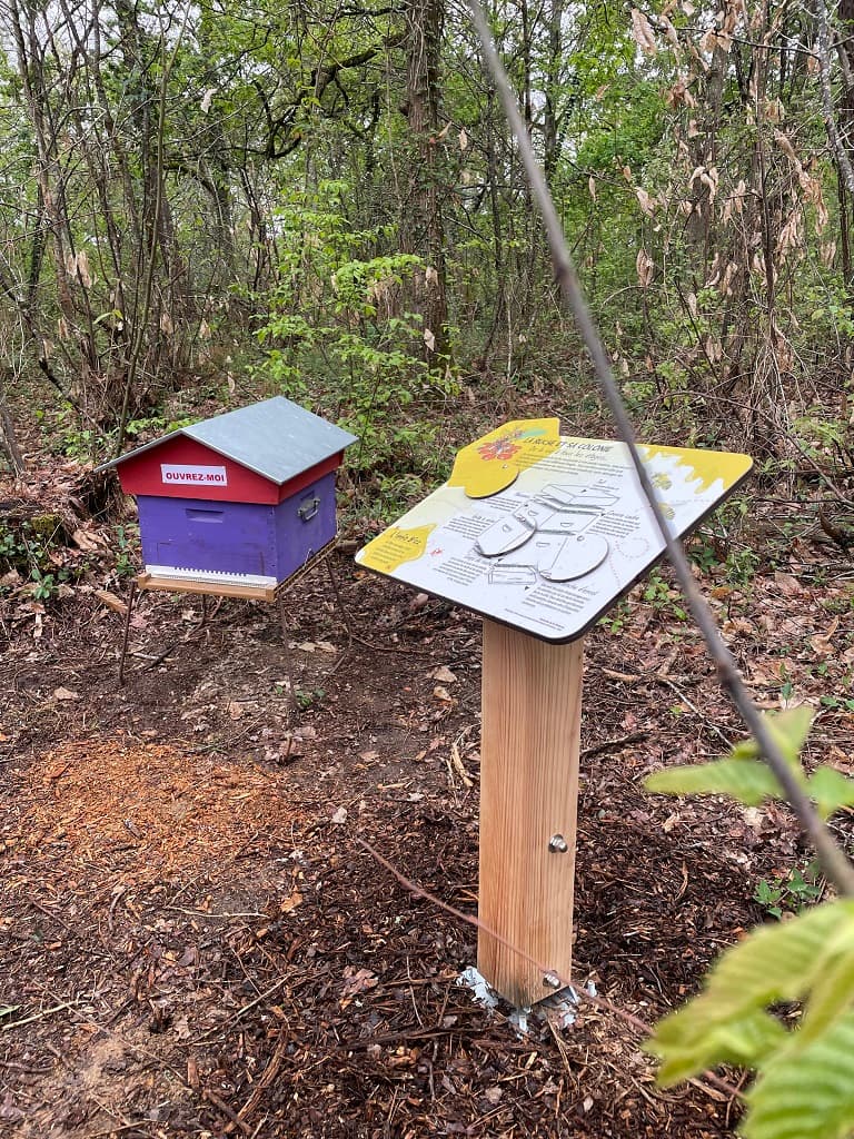 sentier-des-abeilles-montpon(6)