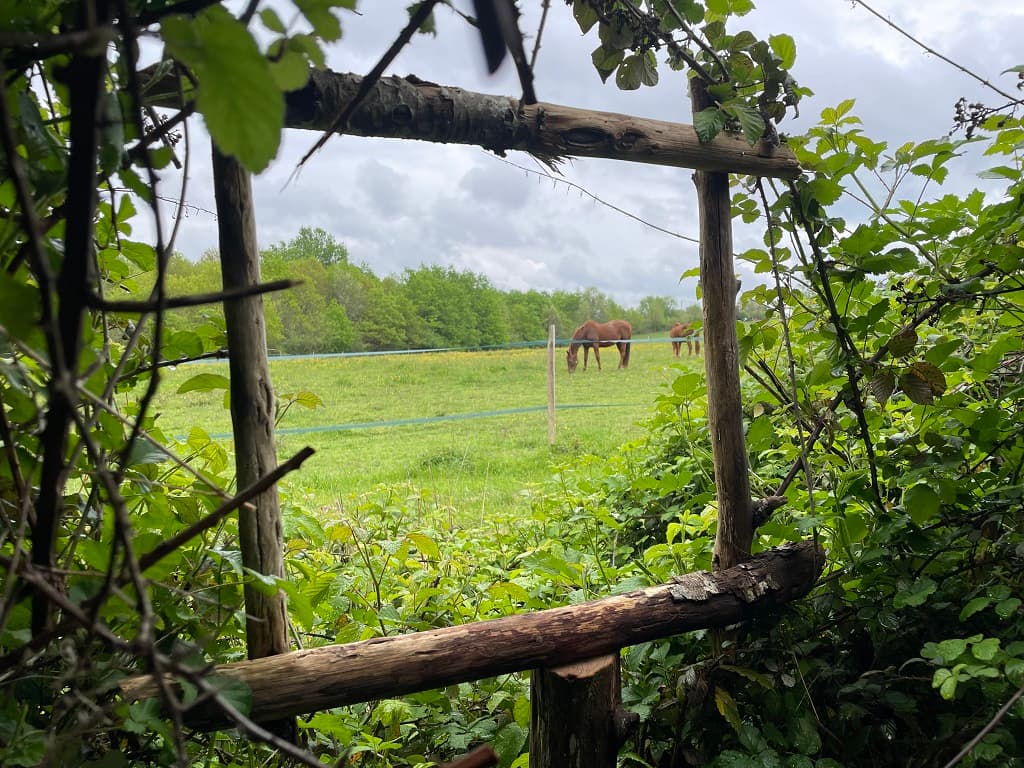 sentier-des-abeilles-montpon(5)