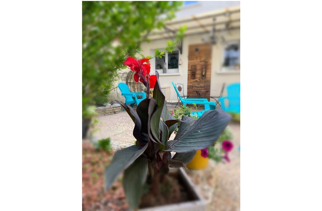 serendipity_fleurjardin