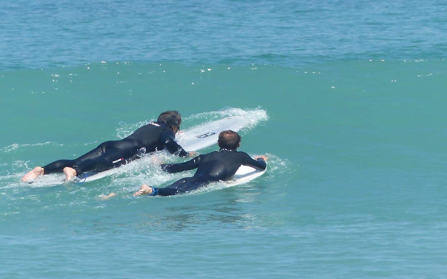session surf 1440x900
