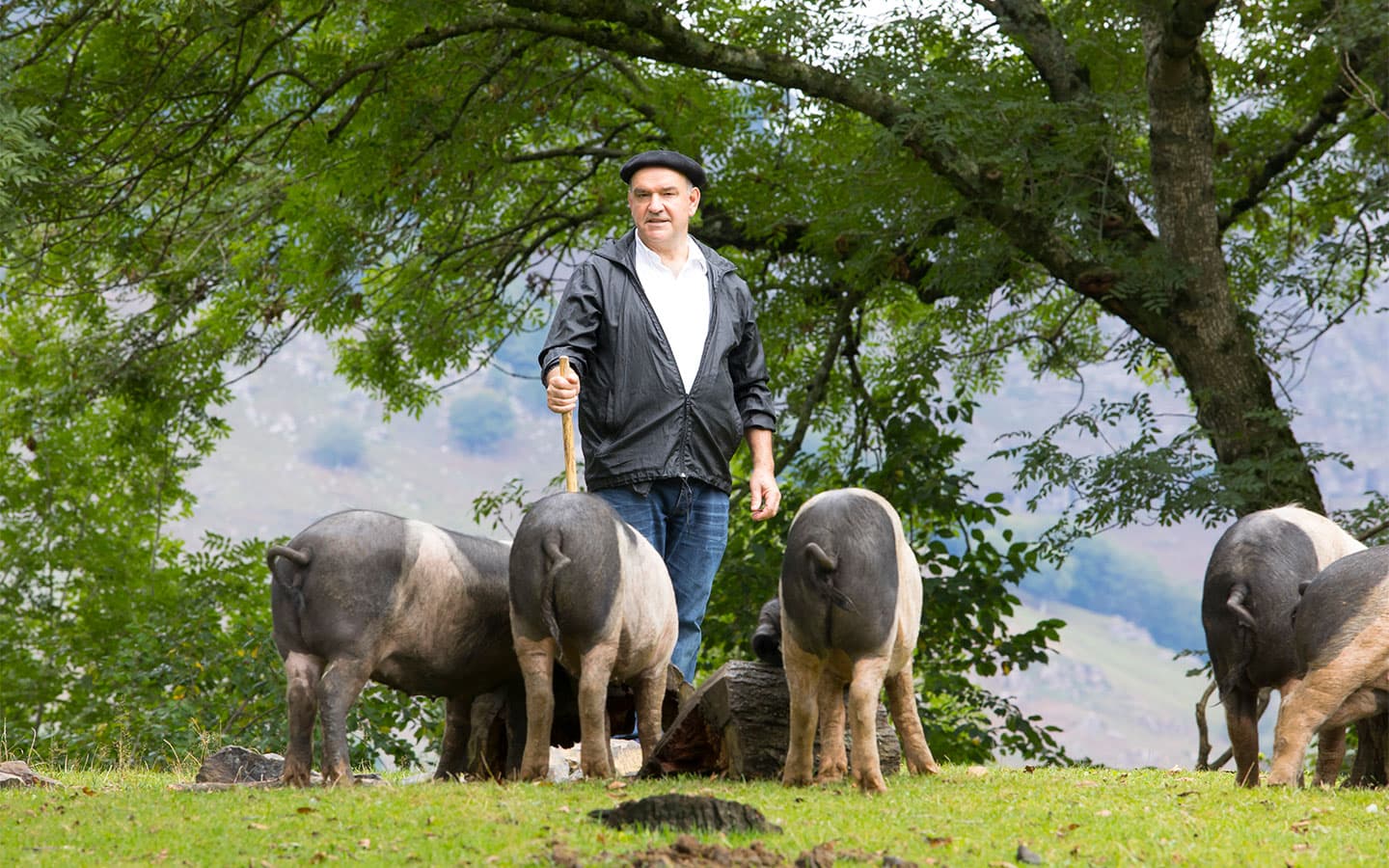 porc basque aldudes