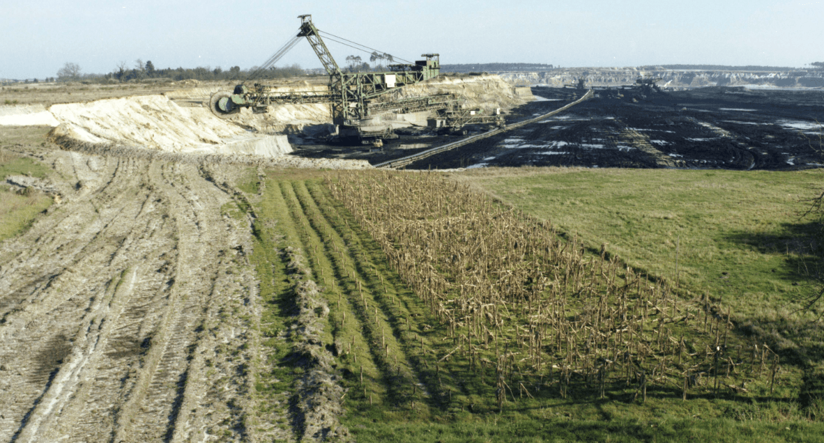 site