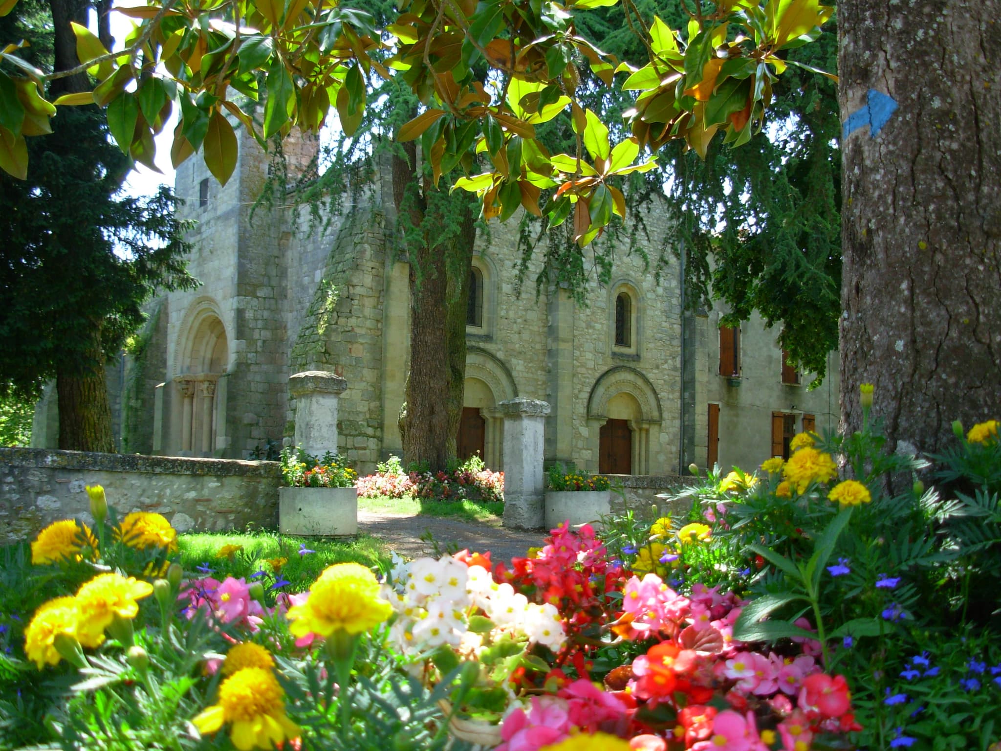 smavlot saint sardos (4)