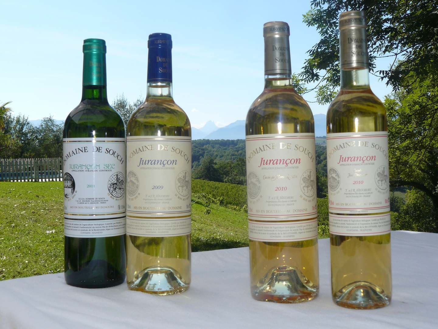 Domaine de Souch - Laroin - production