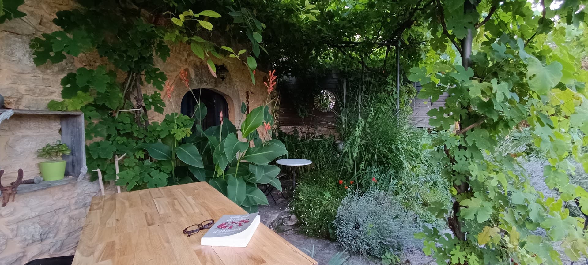 sous la vigne