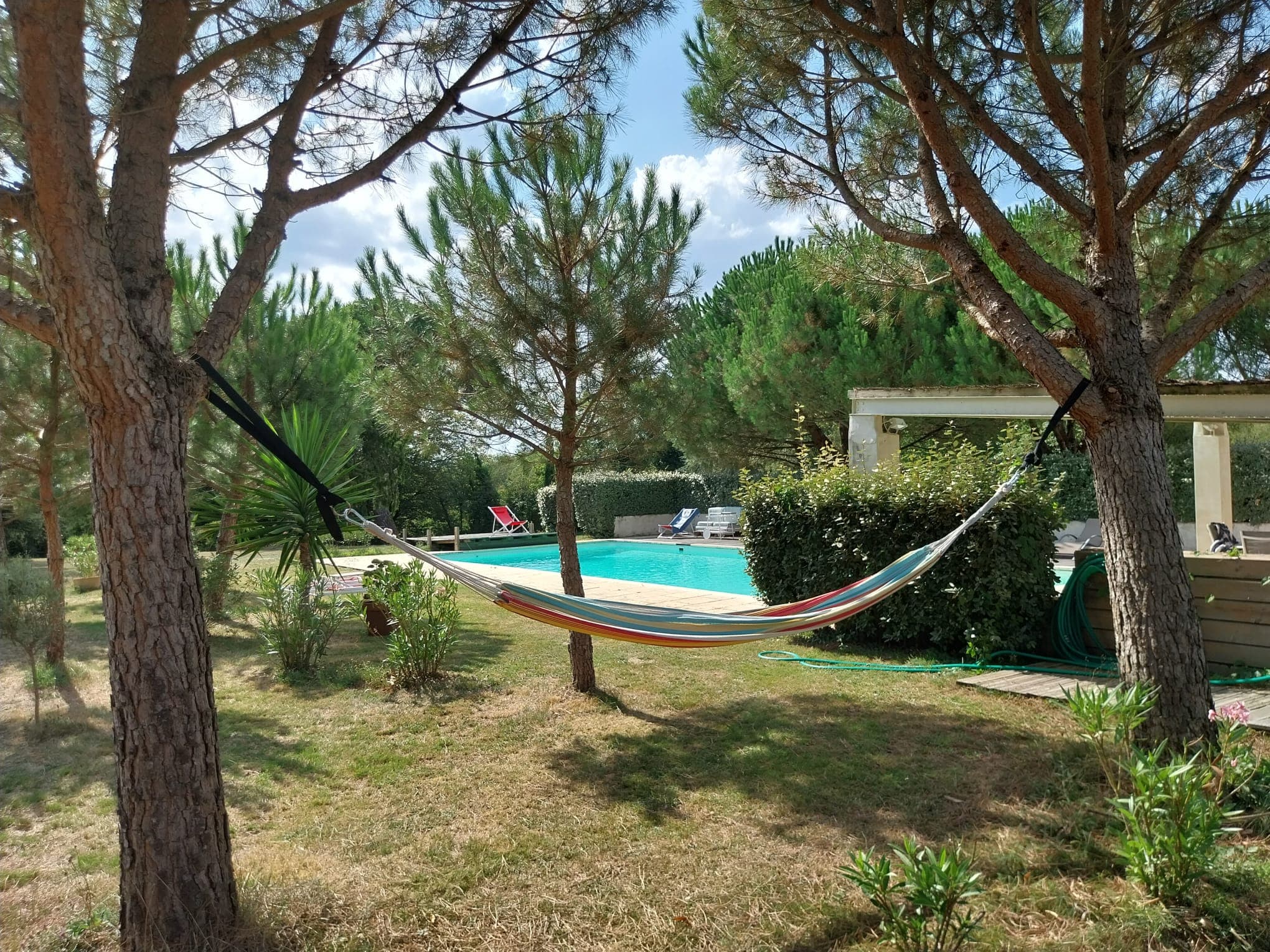 Domaine d'Ancia à Anché _ Vienne _sous les arbres