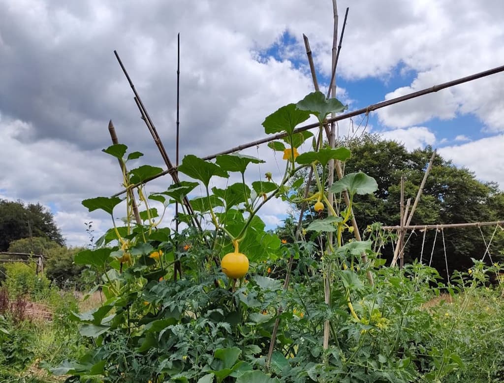 Initiez vous à la permaculture