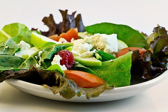 stevepb-salad-374173_640