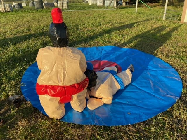 sumo2