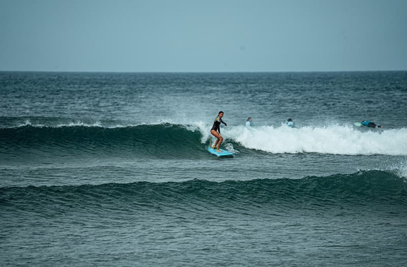 surf