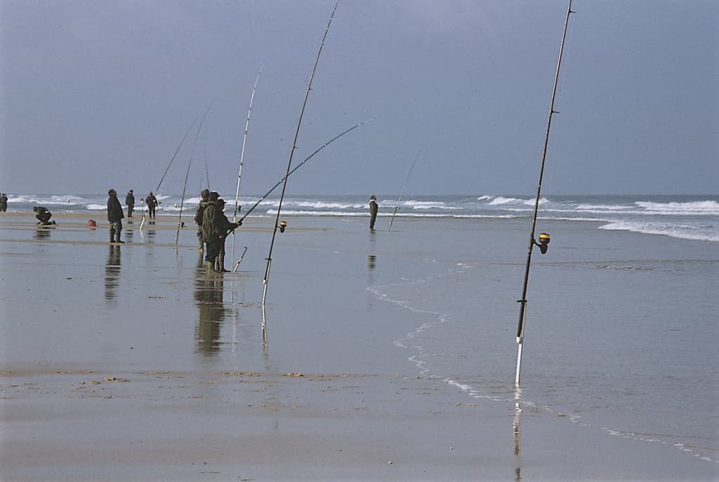 surfcasting
