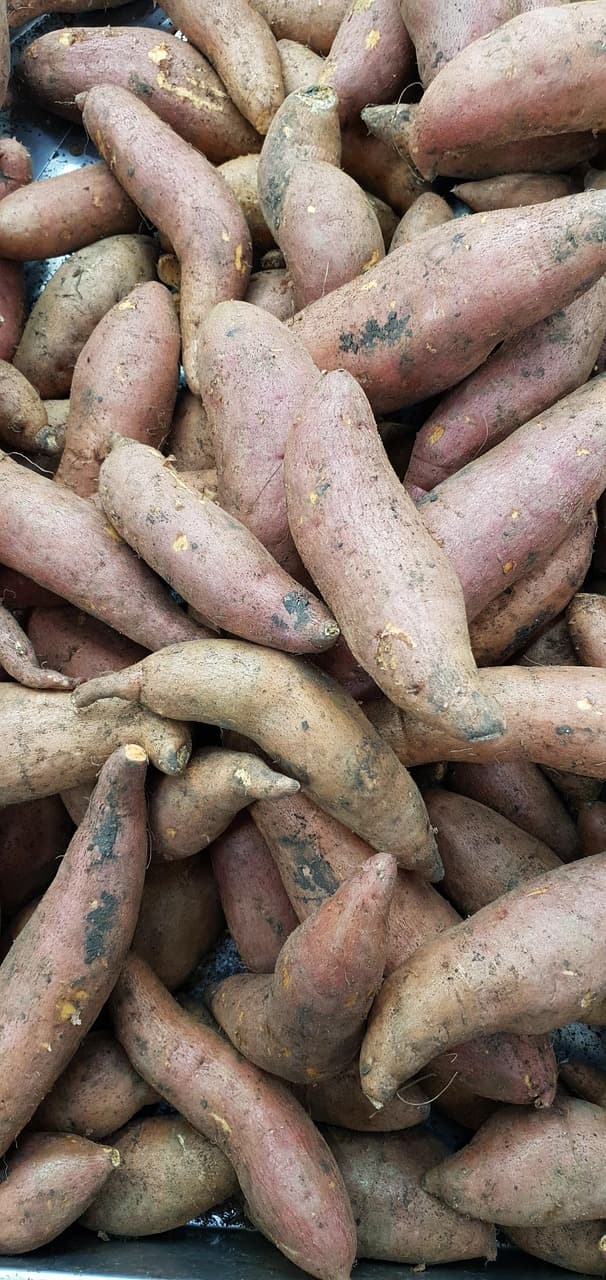 sweet-potatoes-6938881_1280