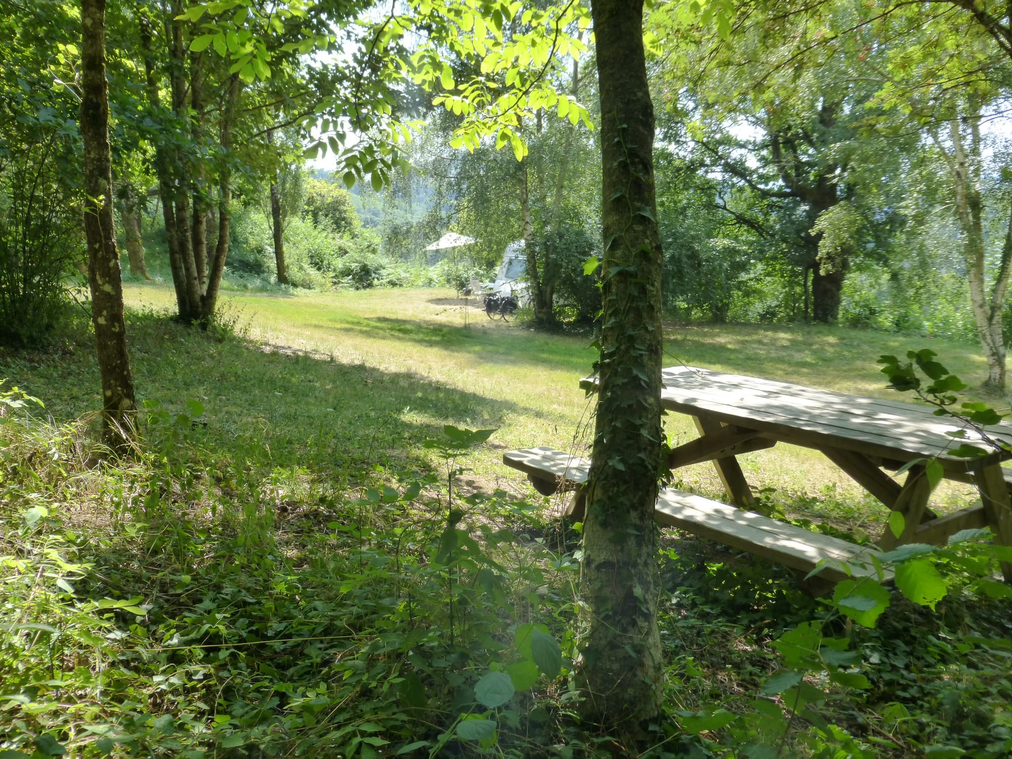 table banc