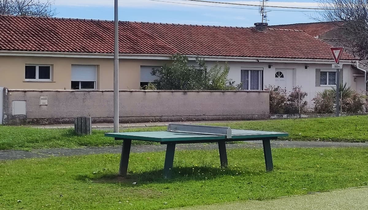 table ping pong