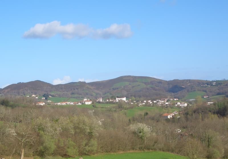 tapia_vue