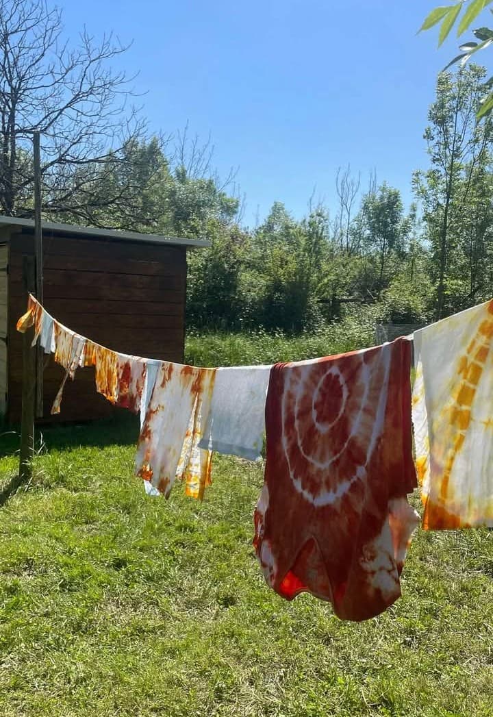 teinture végétale shibori