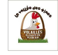 téléchargement