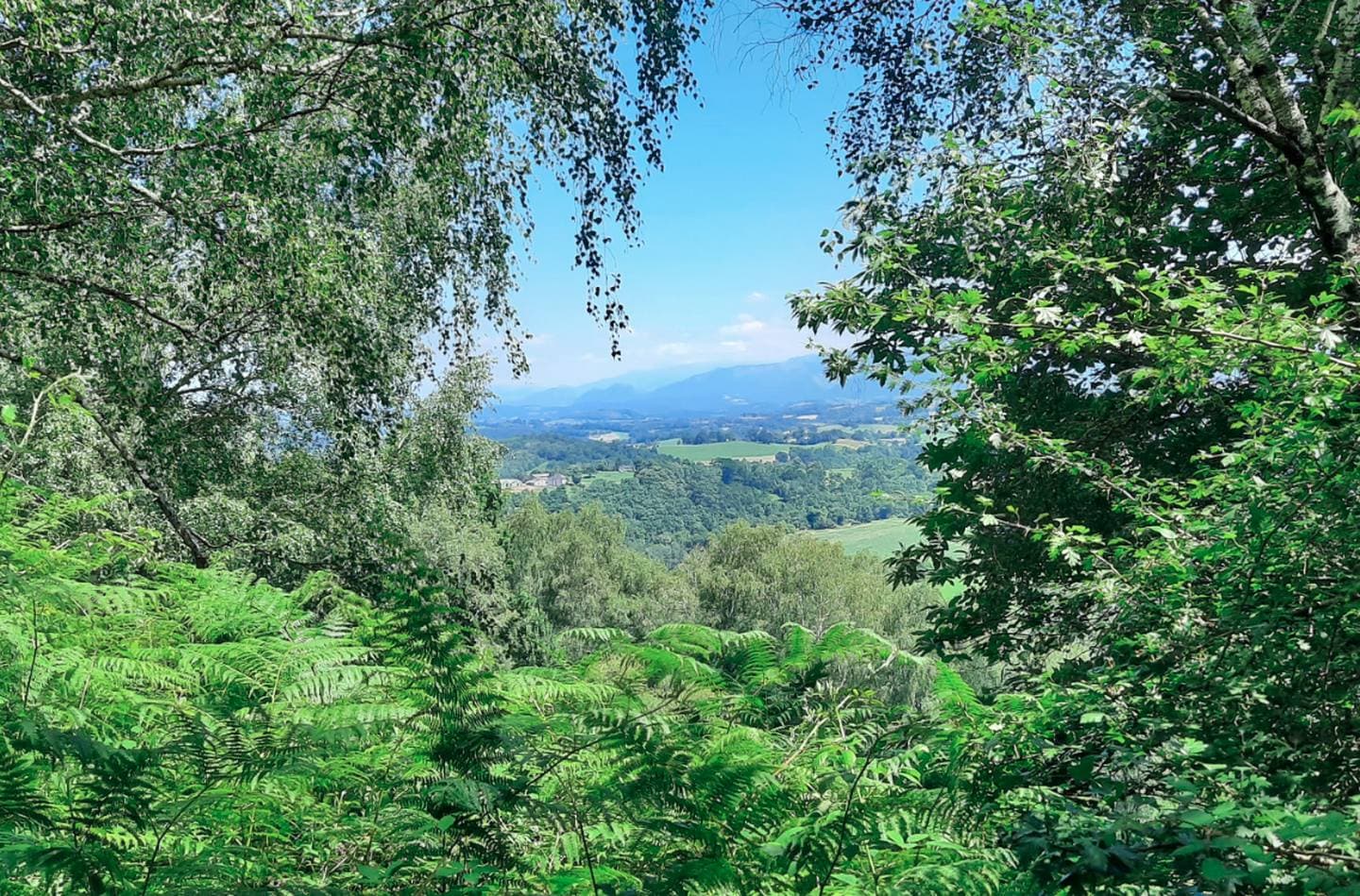 Terra Aventura - Bosdarros - la vue