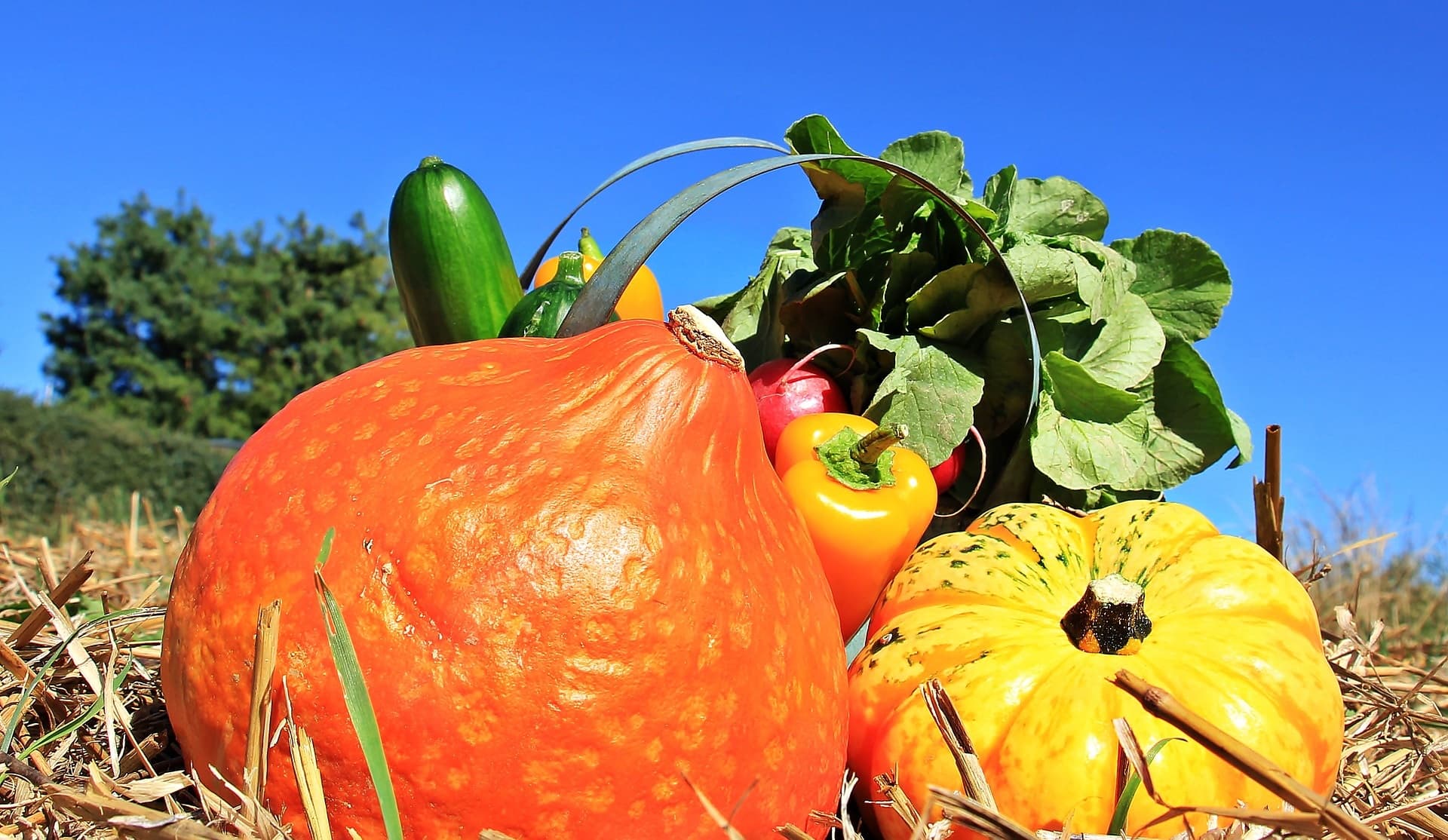 Légumes