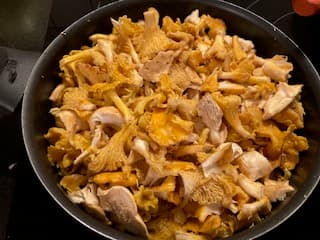 Une poélée de Girolles _27