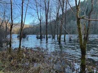 Notre belle rivière à Monceaux _31