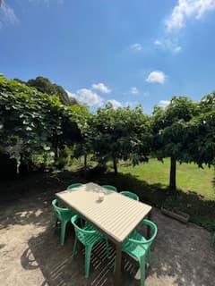 Terrasse _19