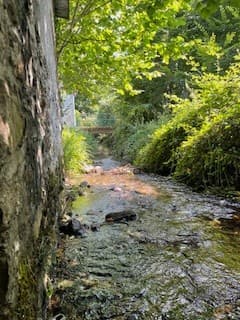 Ruisseau derrrière la maison _14