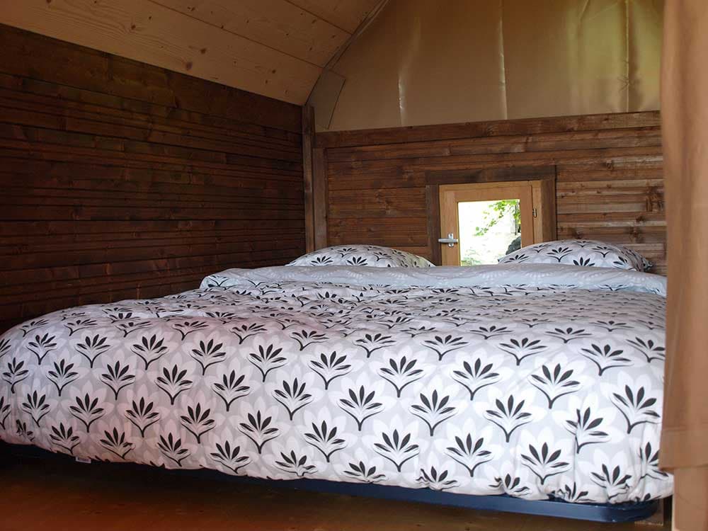 thym 4 chambre