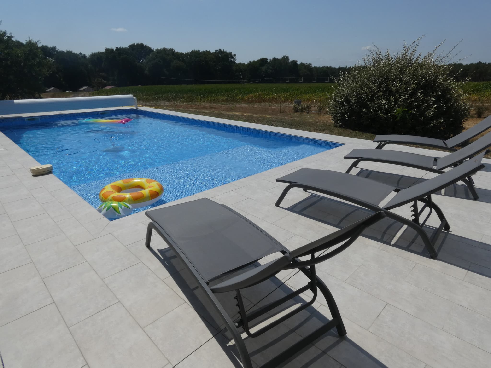 Piscine du Gite Maison Segues à Campagne avec Gîtes de France Landes