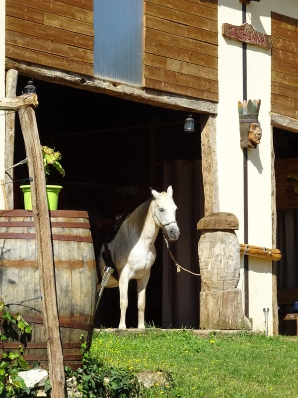 Tashunka Town - ferme équestre
