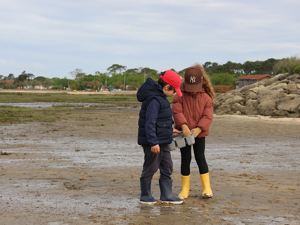 tresors-caches-maree-basse