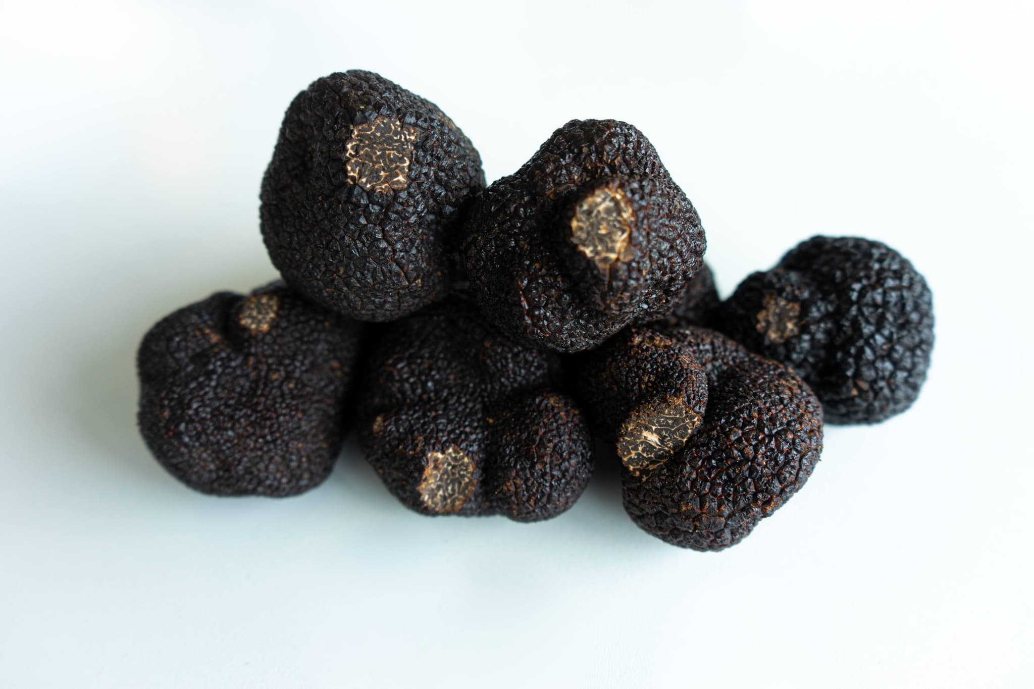 truffes