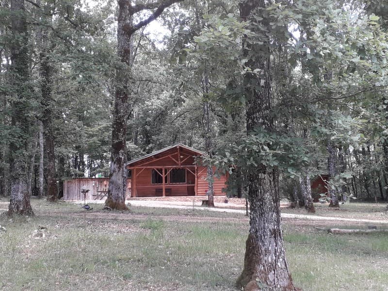 truffière-garrigue (2)
