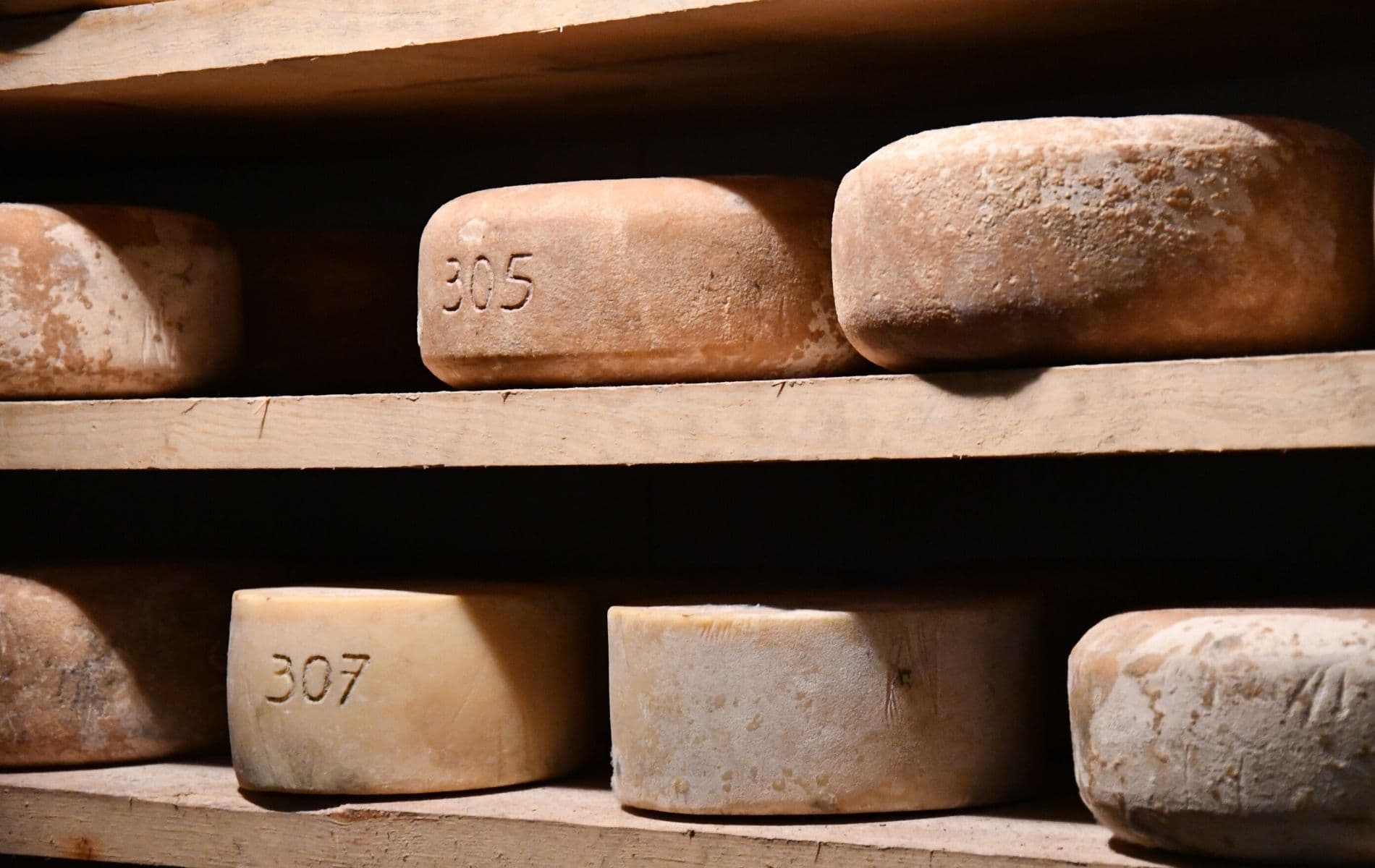 Txiki Combi - Tours gourmands à la rencontre des producteurs locaux
