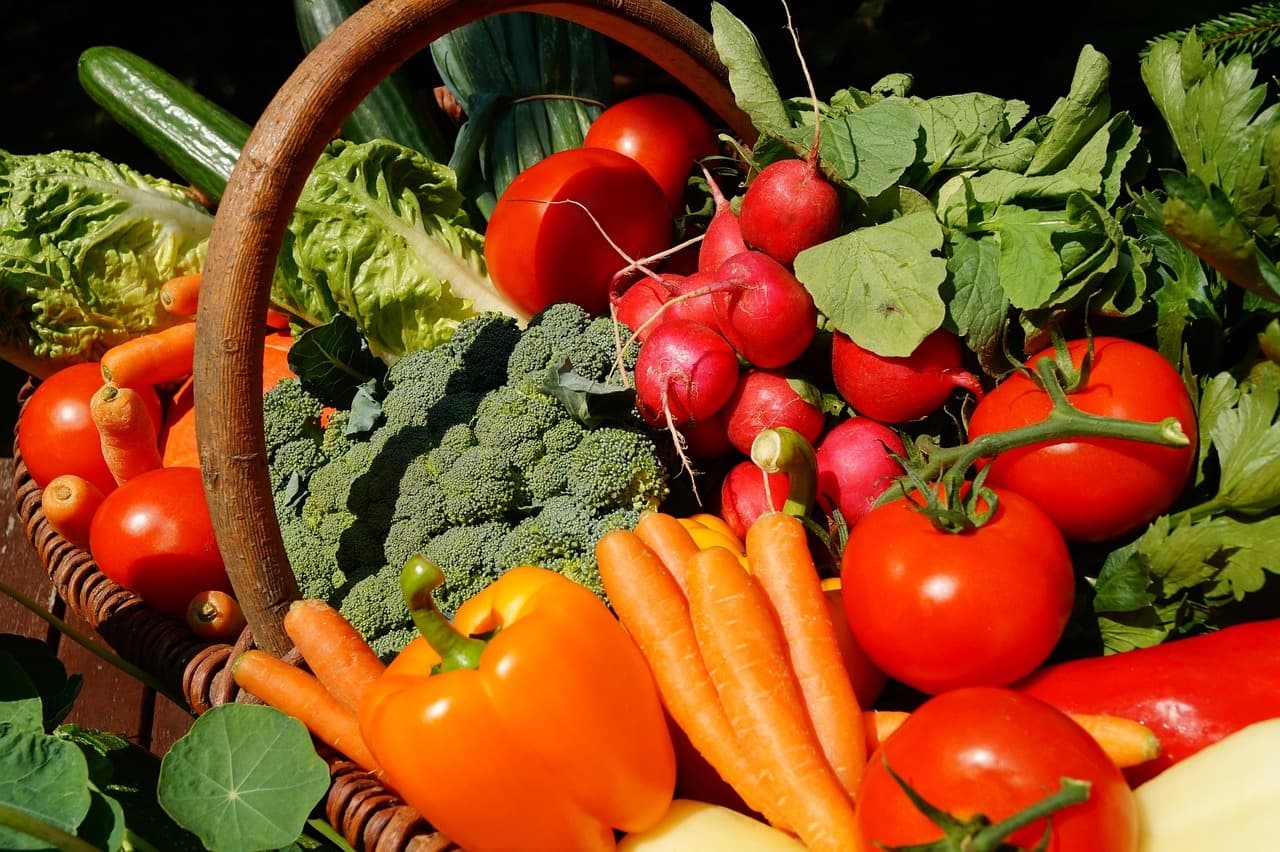 vegetables-3386212_1280 (1)