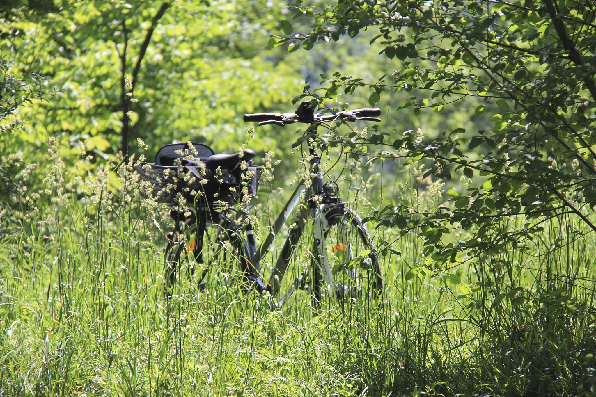 vélo location civray