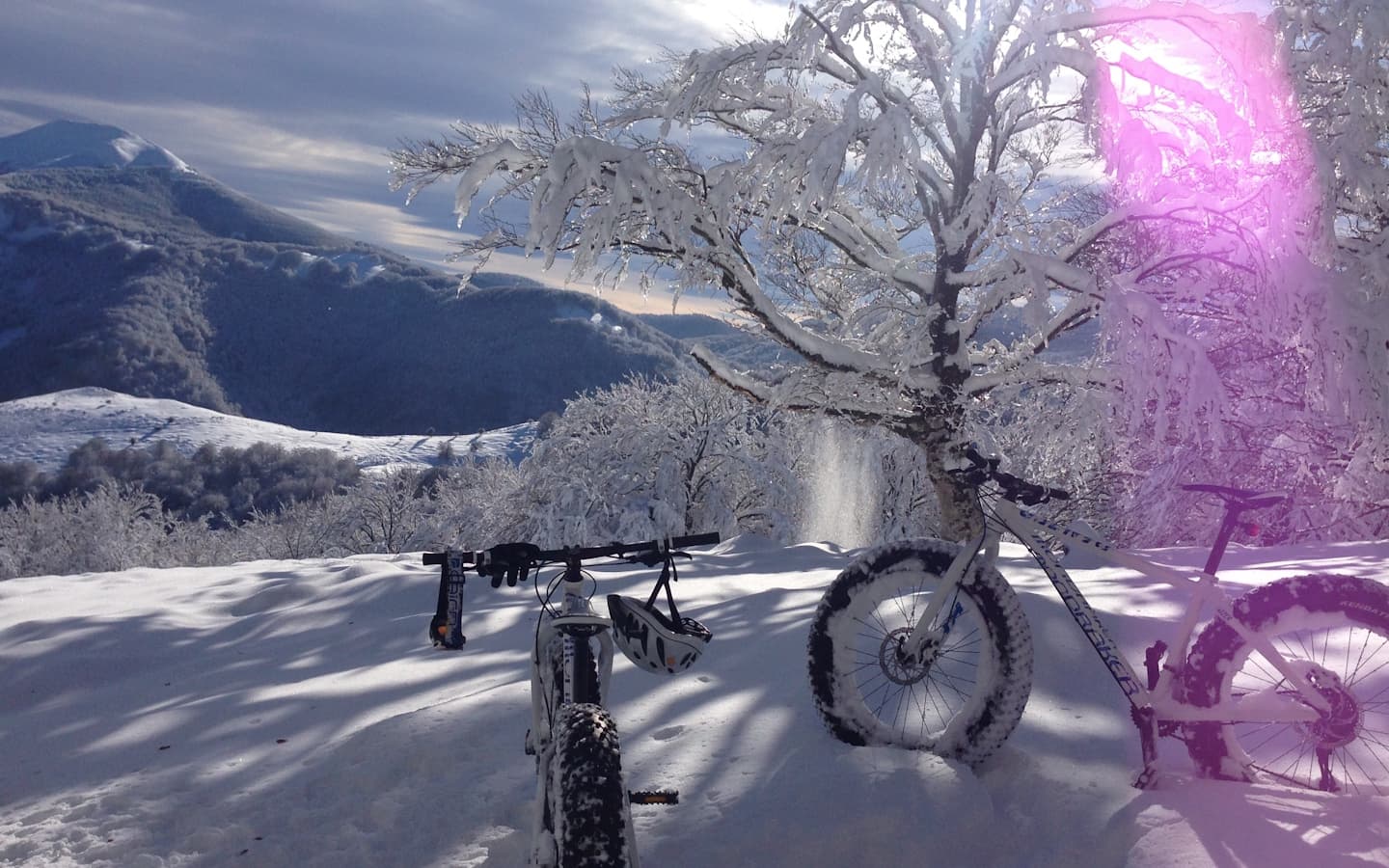 Sortie hiver
