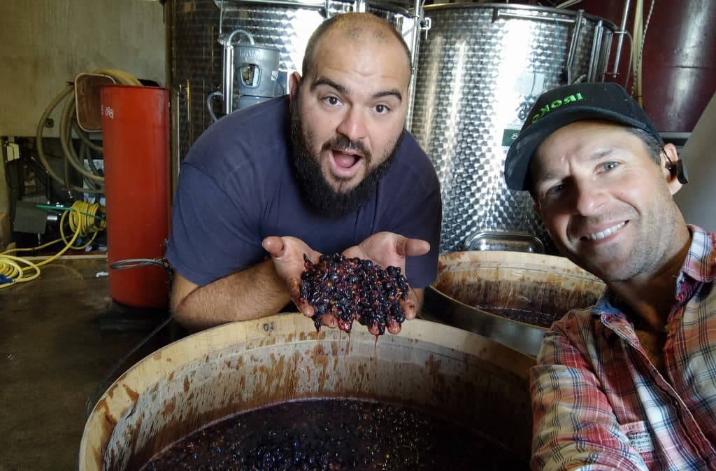 vendanges_vignerons_Domaine de Combet