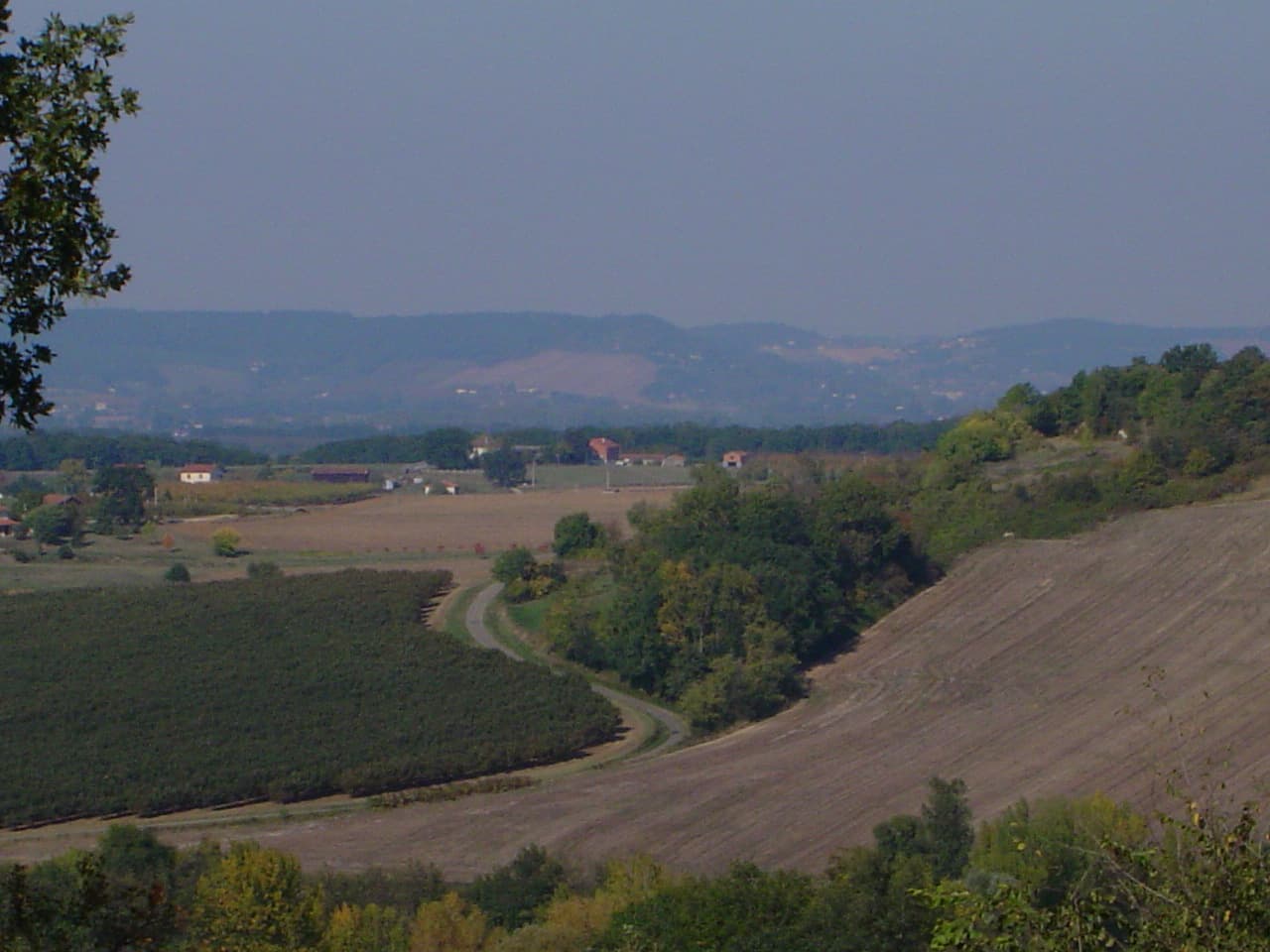 Vers bourran