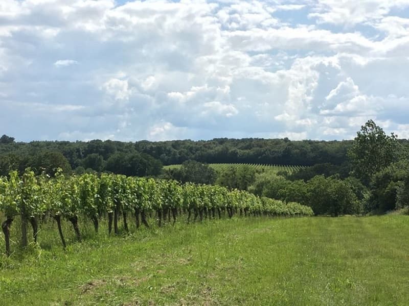 Château les Maubats