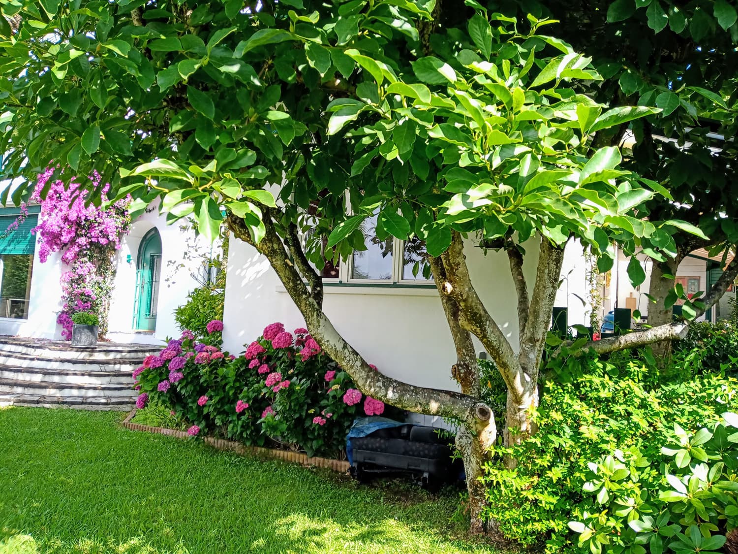 Villa mitoyenne La Madrague ANG2322