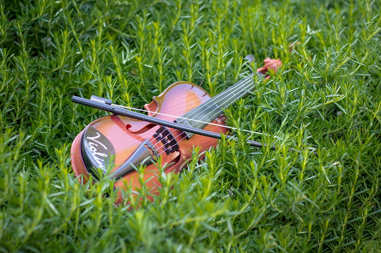 Violon