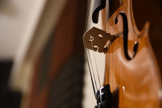 violin-5818267_640