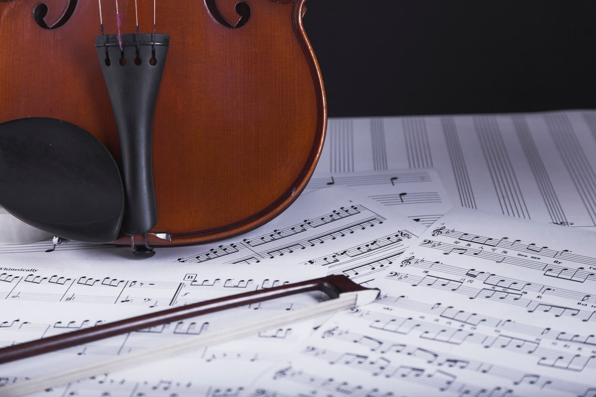 violon