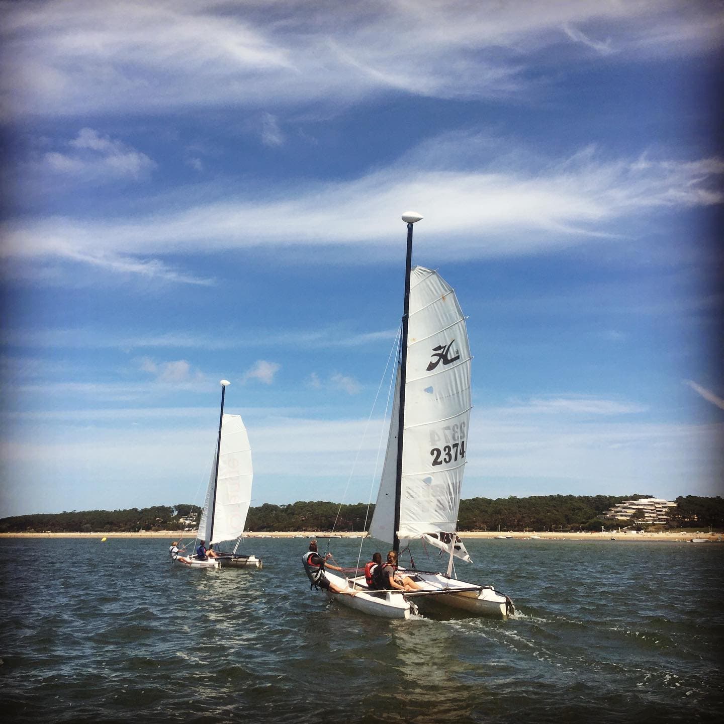 voile sensation 2