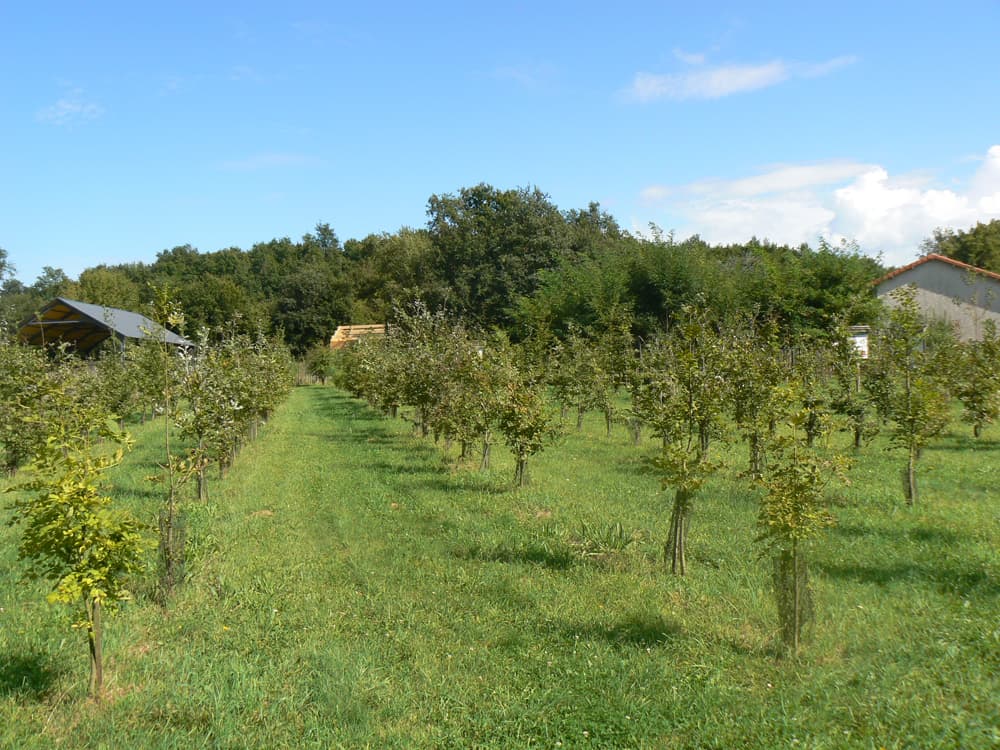 Arboretum_3